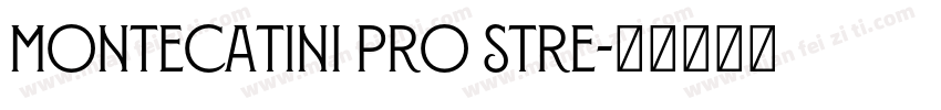 Montecatini Pro Stre字体转换